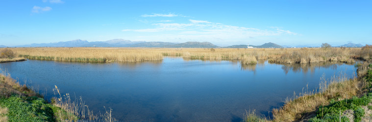 Similar image 21148949