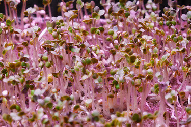 Similar image 21149953