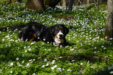 Similar image 21151676