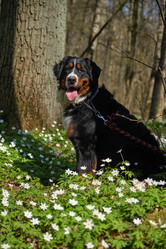 Similar image 21151678