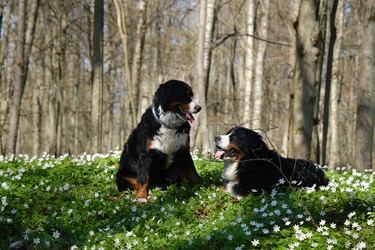 Similar image 21151680