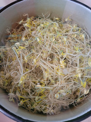 Similar image 21151683