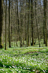 Similar image 21151684