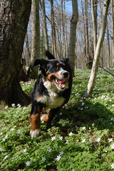 Similar image 21151692