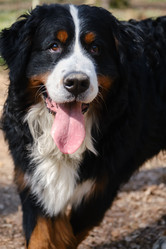 Similar image 21151813