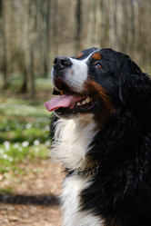 Similar image 21151814