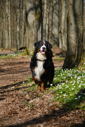 Similar image 21151815