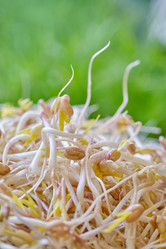 Similar image 21151817