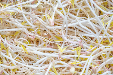 Similar image 21151821