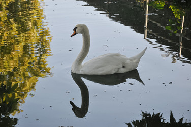 Similar image 21153996