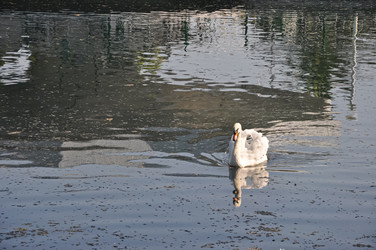 Similar image 21153997