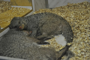 Similar image 21153998