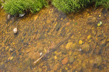 Similar image 21154001