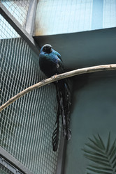 Similar image 21154005