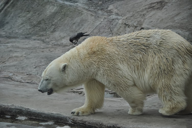 Similar image 21154006