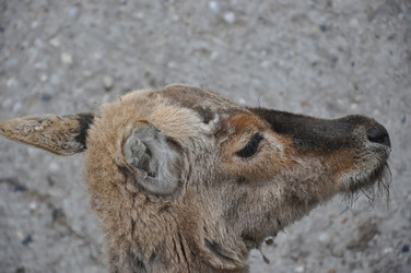 Similar image 21154007