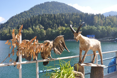 Similar image 21154008