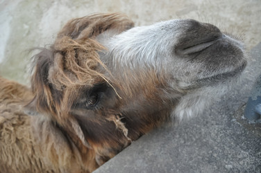 Similar image 21154009