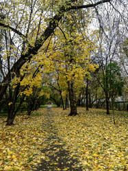 Similar image 21154010