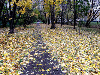 Similar image 21154013