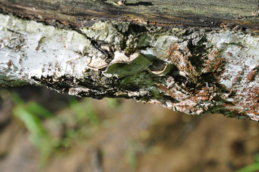 Similar image 21154014