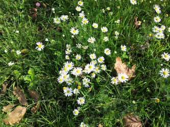 Similar image 21150407