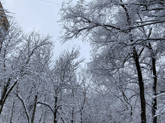 Similar image 21150408