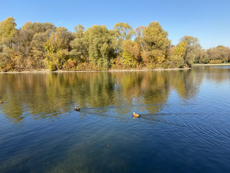 Similar image 21150412