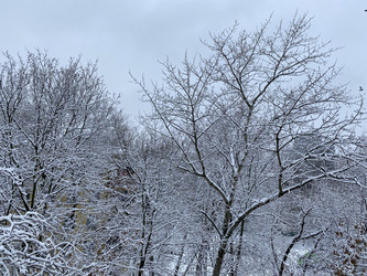 Similar image 21148651