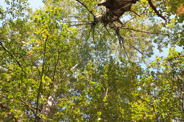 Similar image 21150843