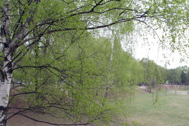 Similar image 21150845