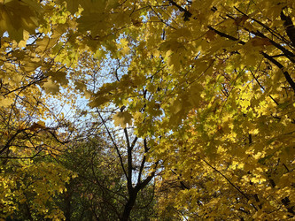 Similar image 21150846