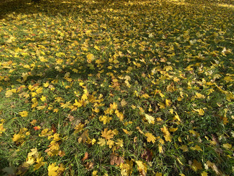 Similar image 21150848