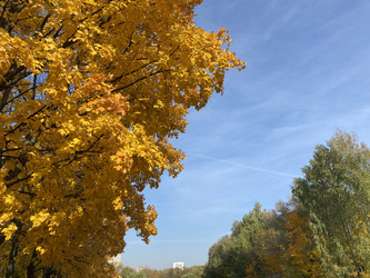 Similar image 21150849