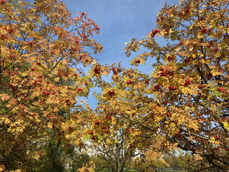 Similar image 21150852