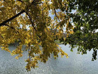 Similar image 21150856