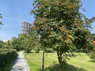 Similar image 21150858