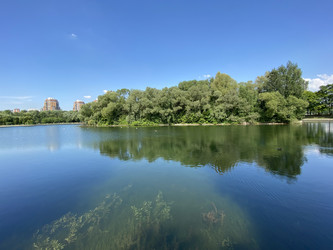 Similar image 21150861