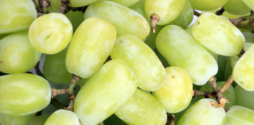 Similar image 21150862