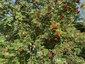 Similar image 21150863