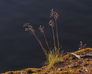 Similar image 21147776