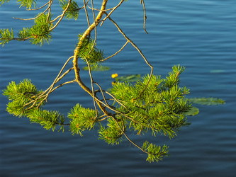 Similar image 21147777