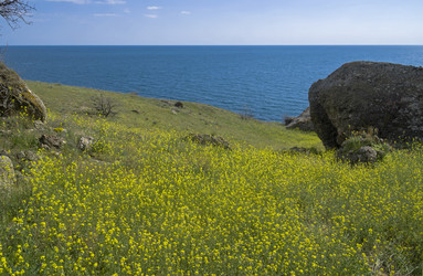 Similar image 21147790