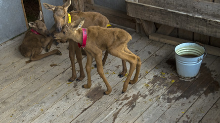 Similar image 21147795