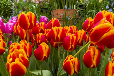 Similar image 21147802