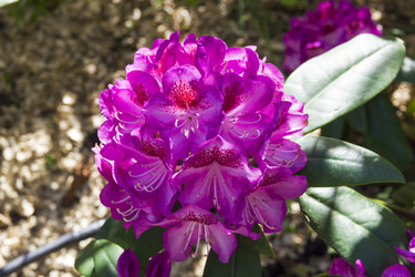 Similar image 21147808