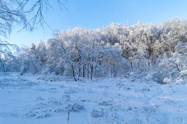 Similar image 21147809