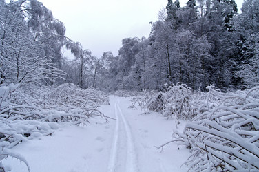 Similar image 21147810