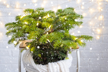 Similar image 21148685