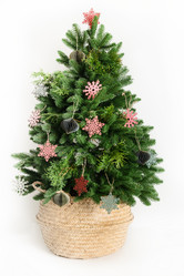 Similar image 21149464